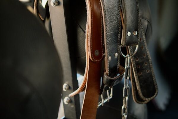 Belts - Image 2
